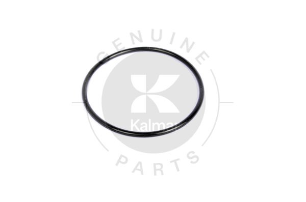 HYDRAULIC SERVO FILTER